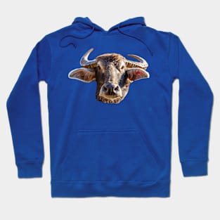 Water buffalo Hoodie